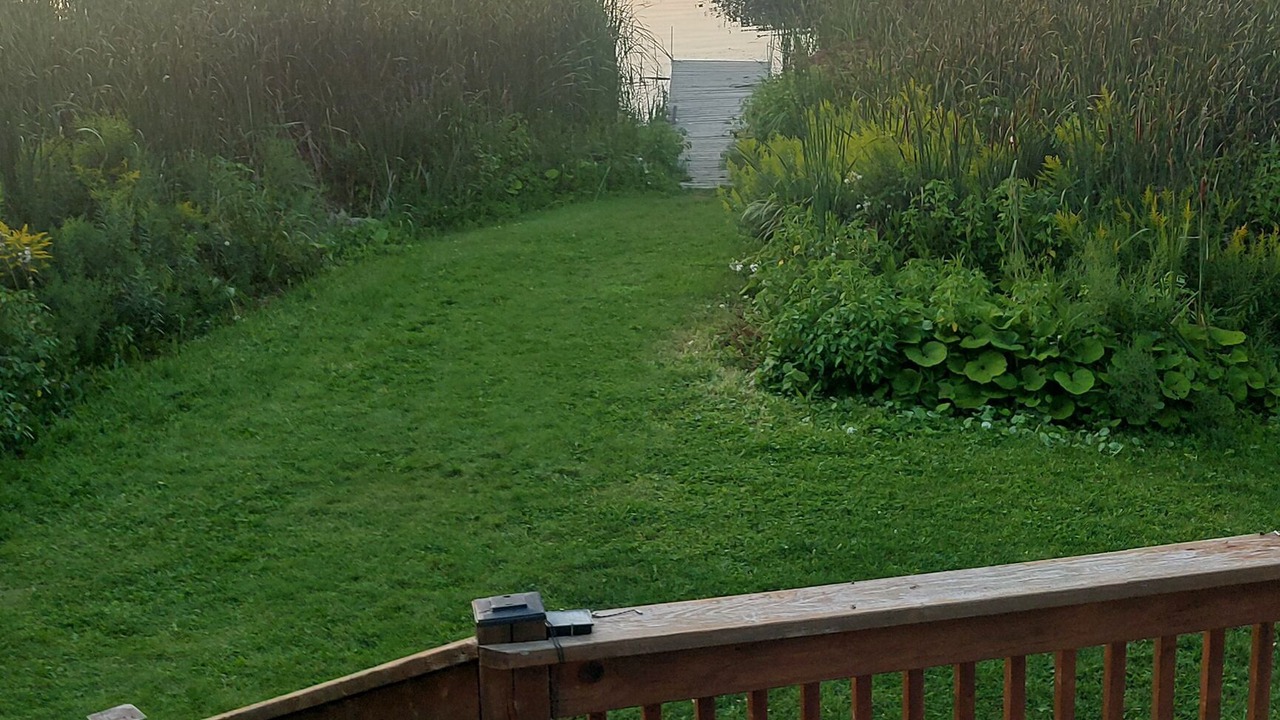 Photo of Outdoor in Scugog