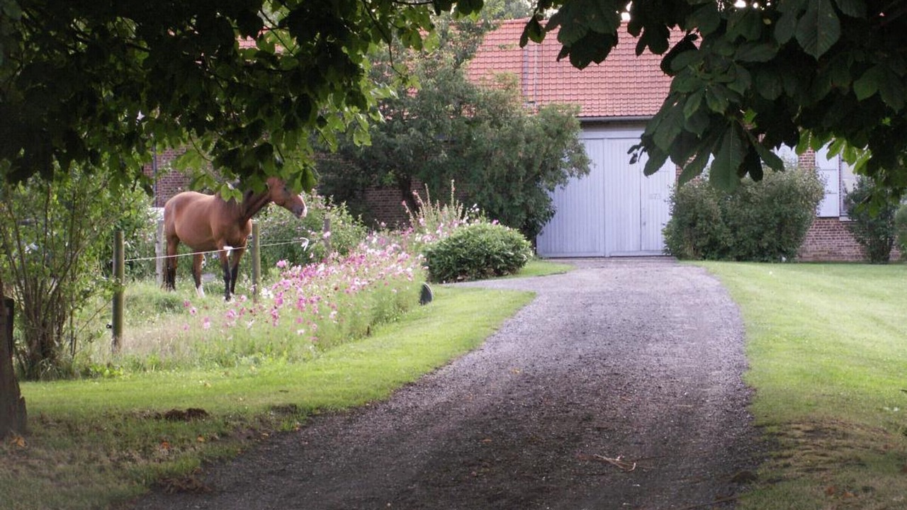 Photo of Outdoor in Fournes-en-Weppes