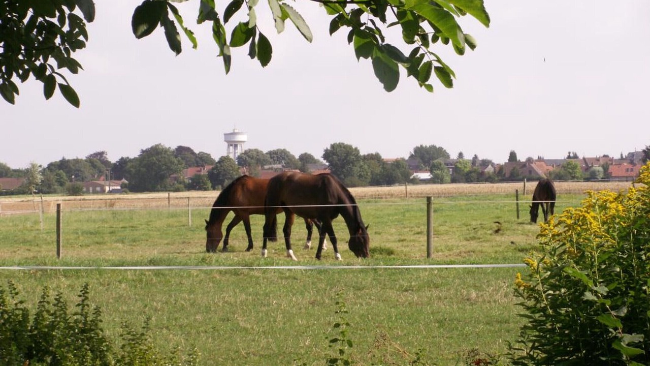 Photo of Others in Fournes-en-Weppes