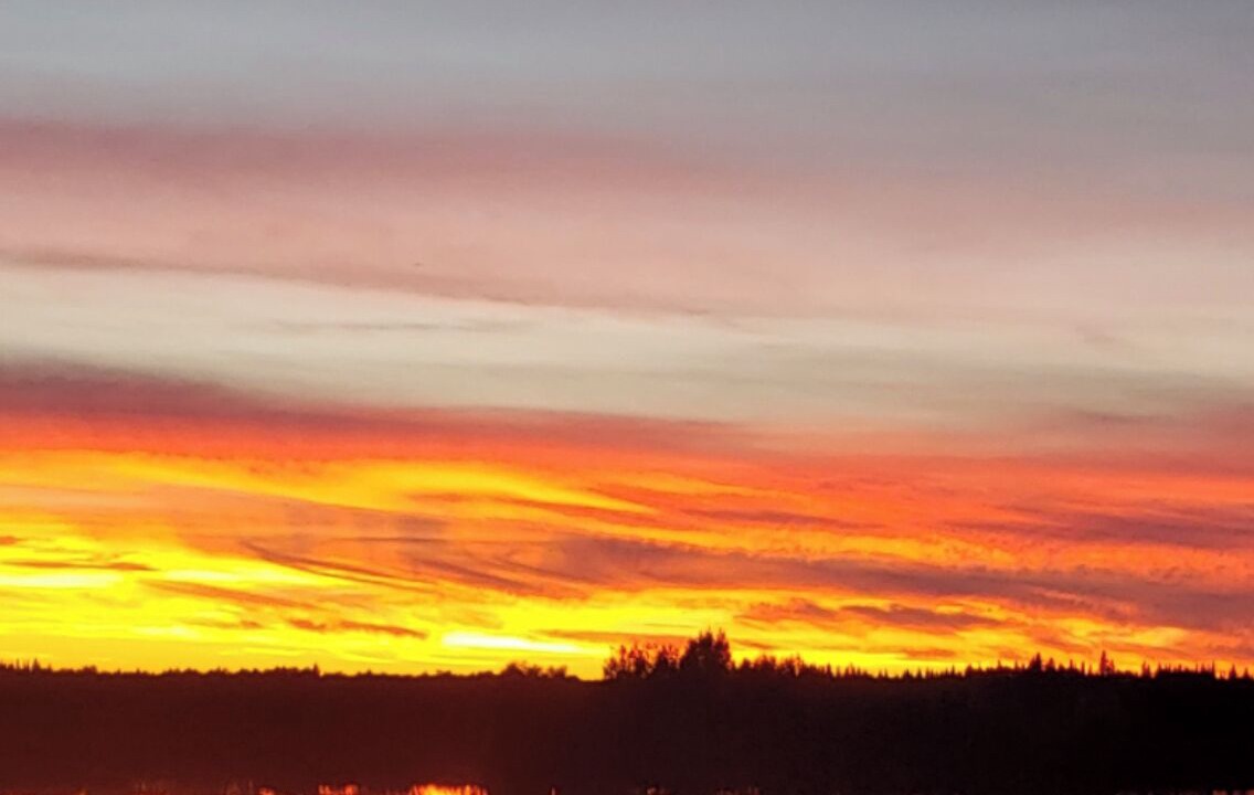 Photo of Others in Central Alberta