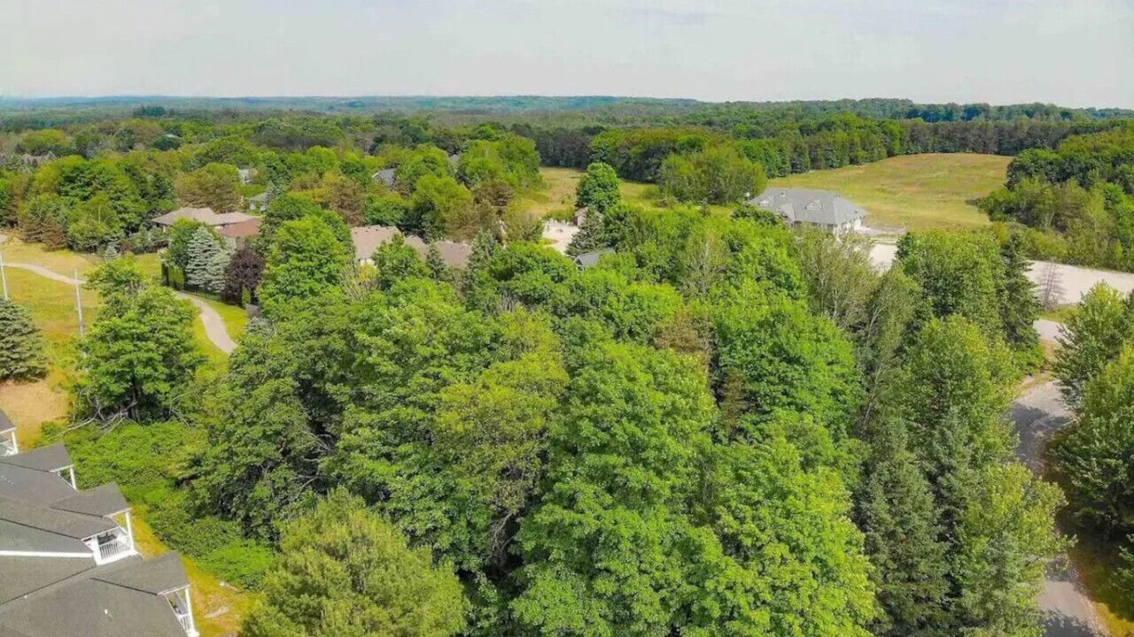 Photo of Outdoor in Oro-Medonte