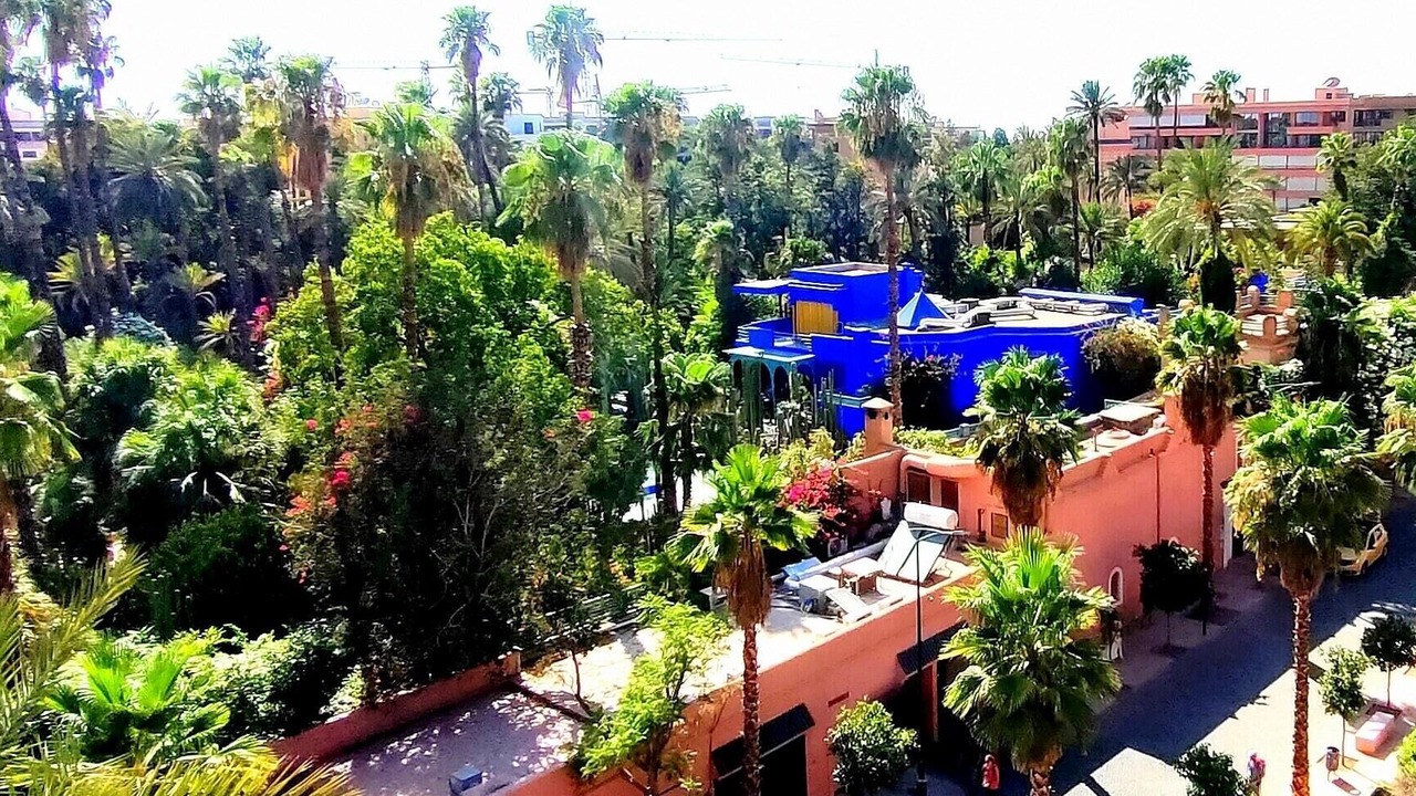 Photo of Others in Majorelle