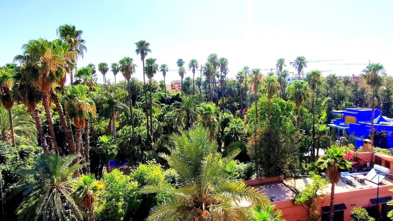 Photo of Others in Majorelle