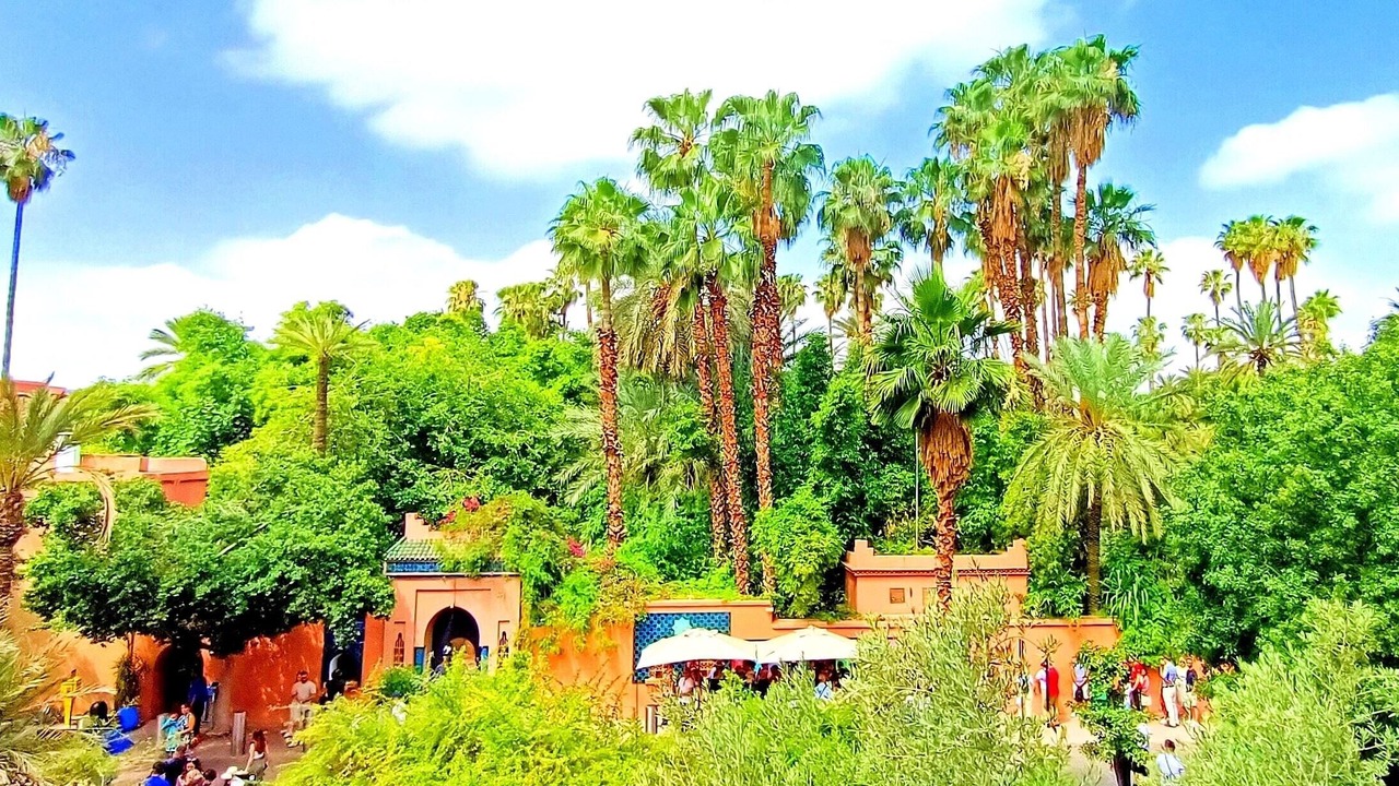 Photo of Others in Majorelle