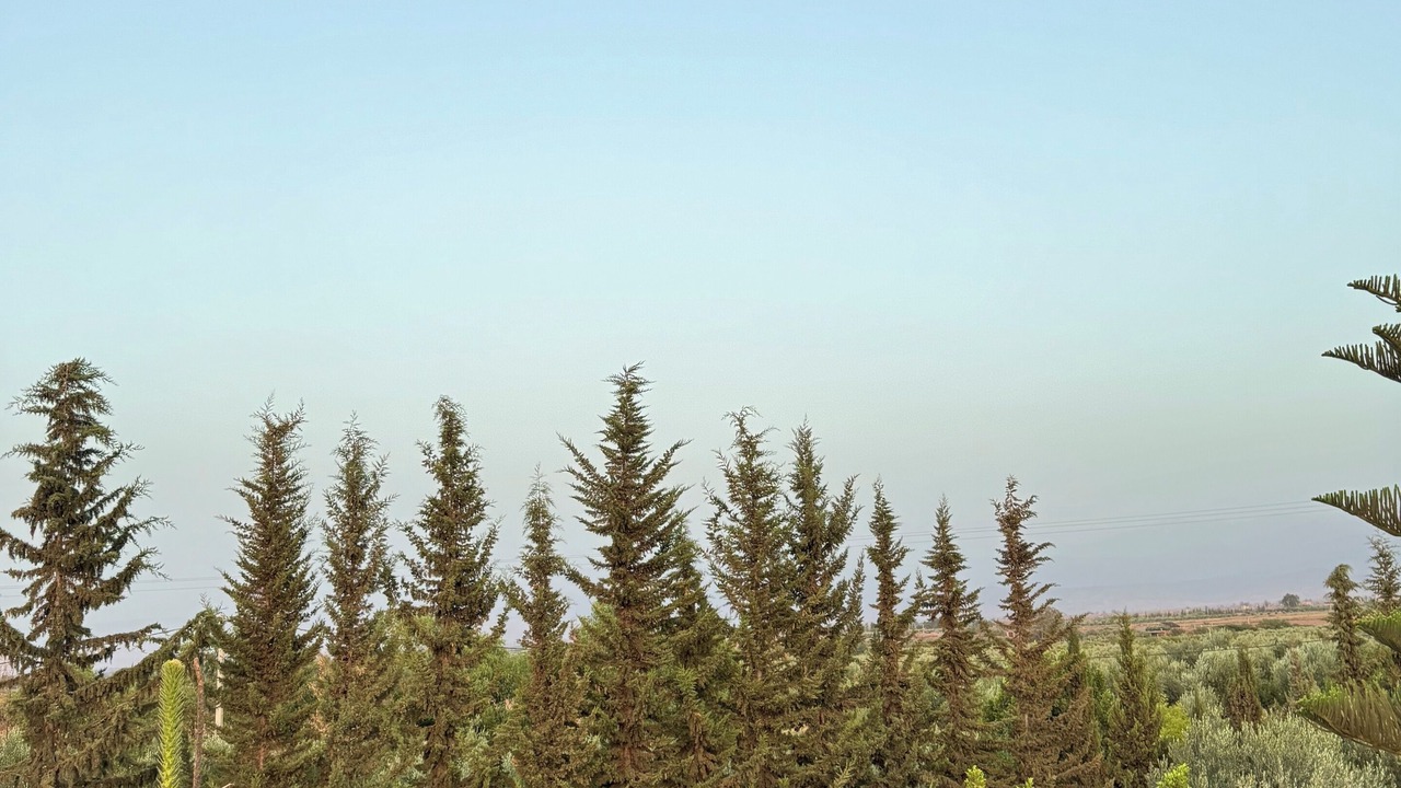 Photo of Outdoor in Aghouatim
