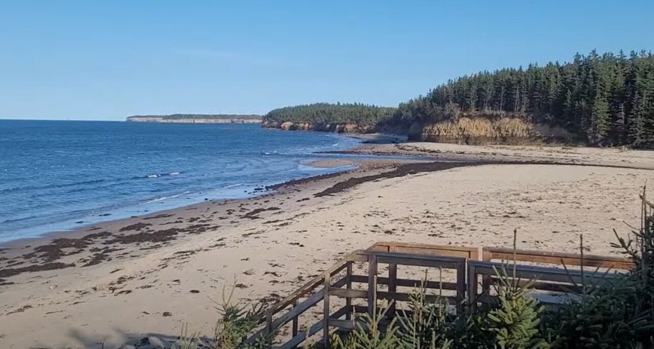 Photo of Others in Black Rock