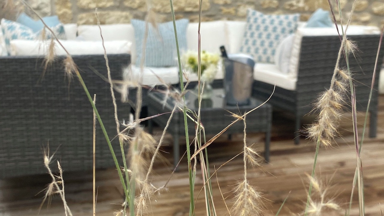 Photo of Outdoor in Saint-Sulpice-de-Cognac