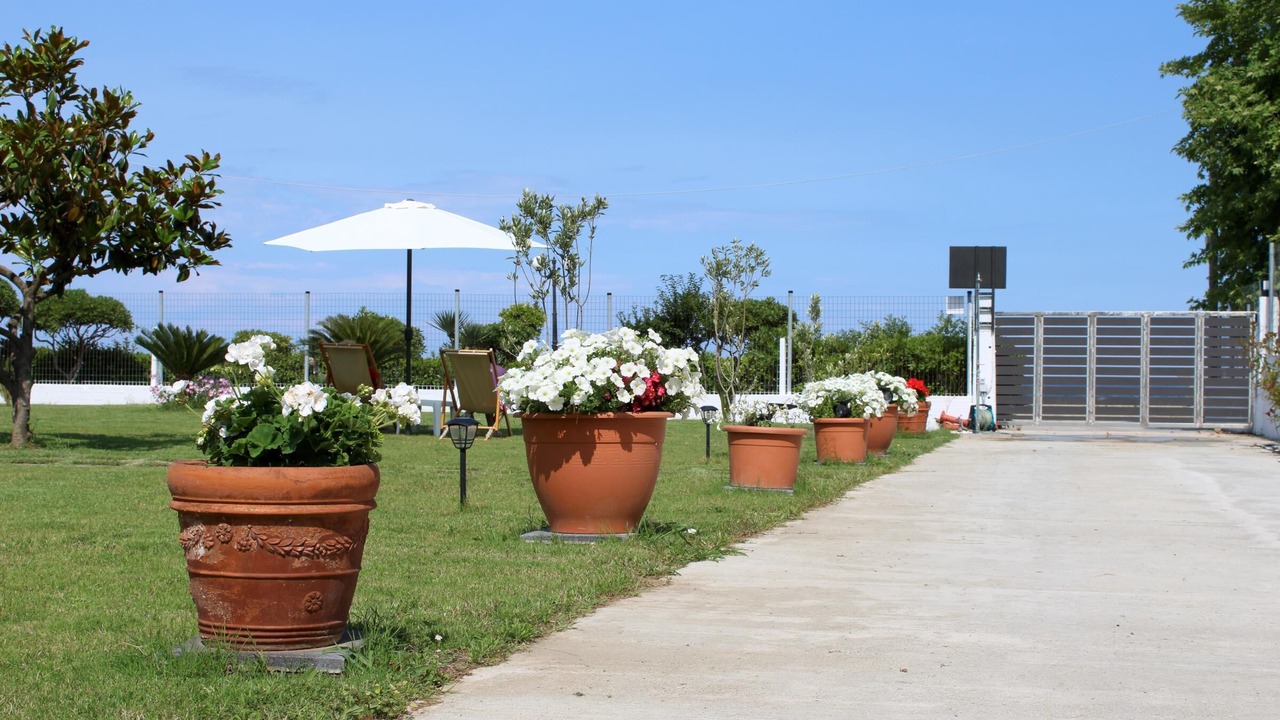 Photo of Outdoor in Skotina