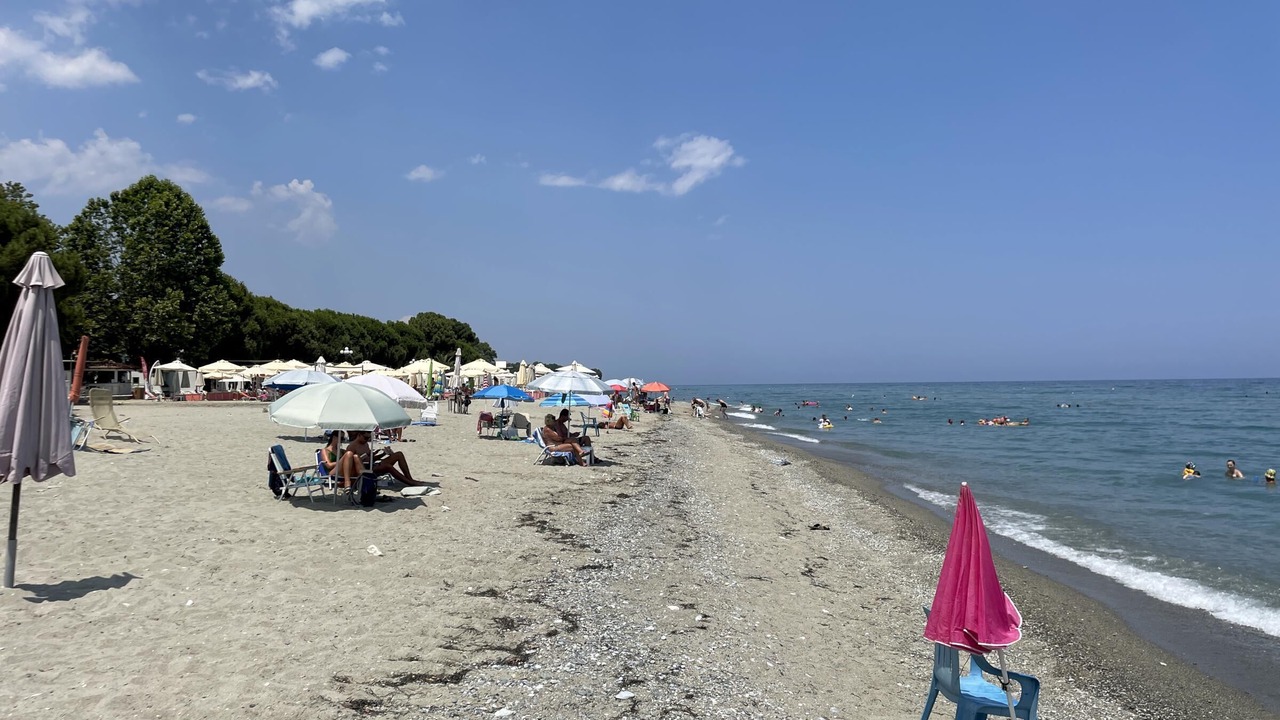 Photo of Others in Skotina