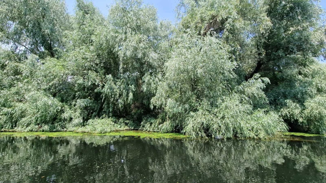 Photo of Outdoor in Mahmudia