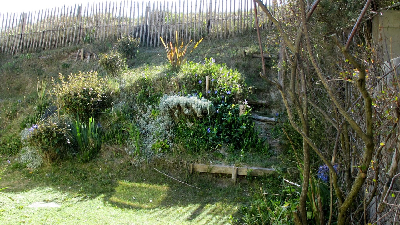 Photo of Others in Surville