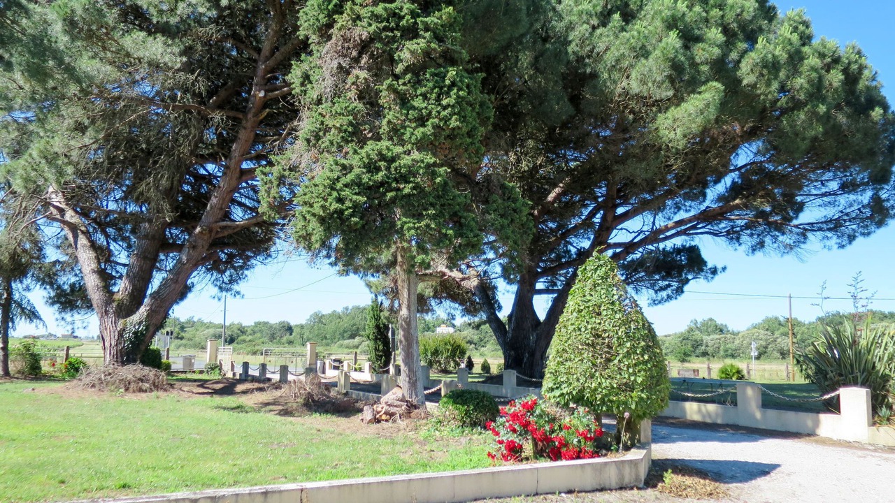 Photo of Others in Jau-Dignac-et-Loirac