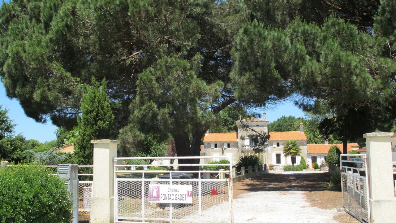 Photo of Others in Jau-Dignac-et-Loirac