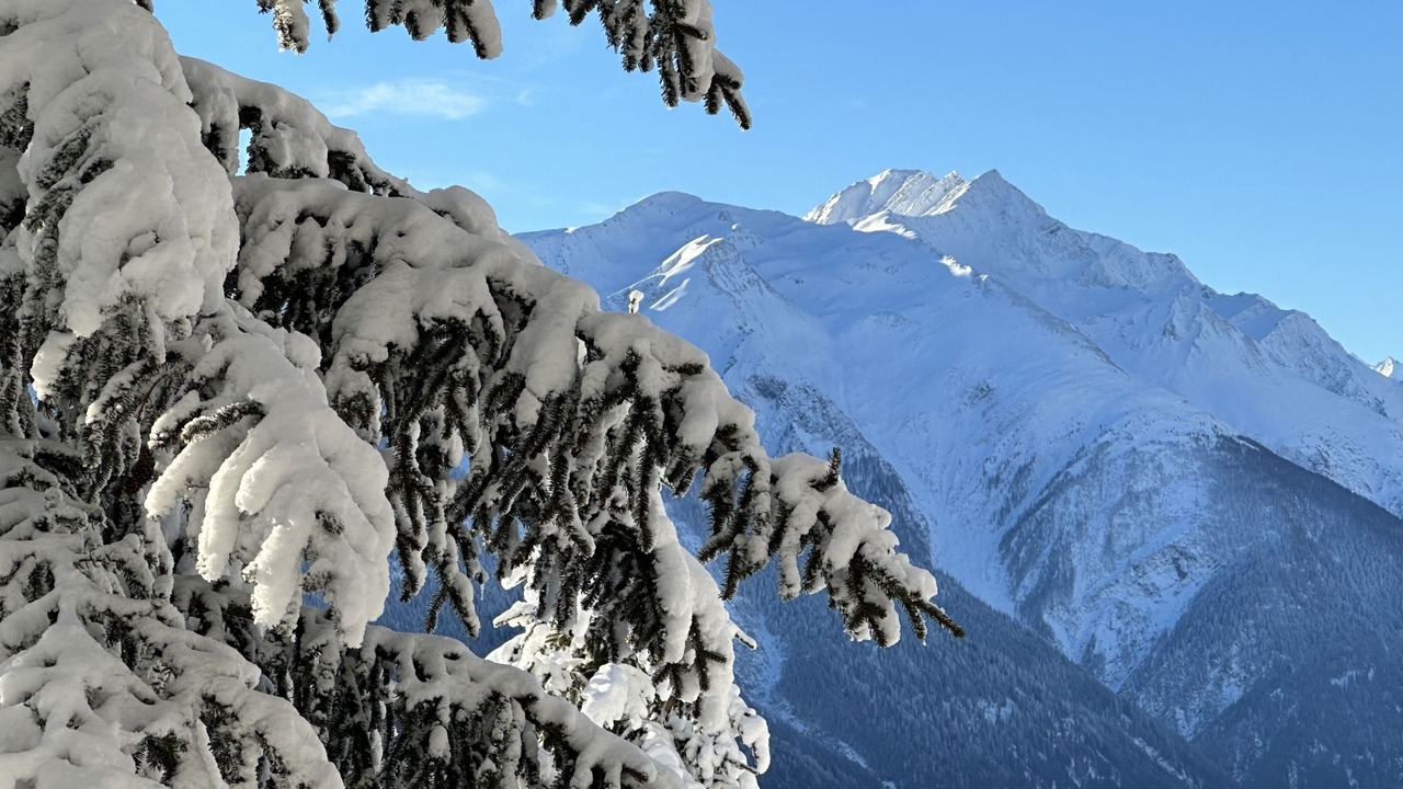 Photo of Others in Bellwald