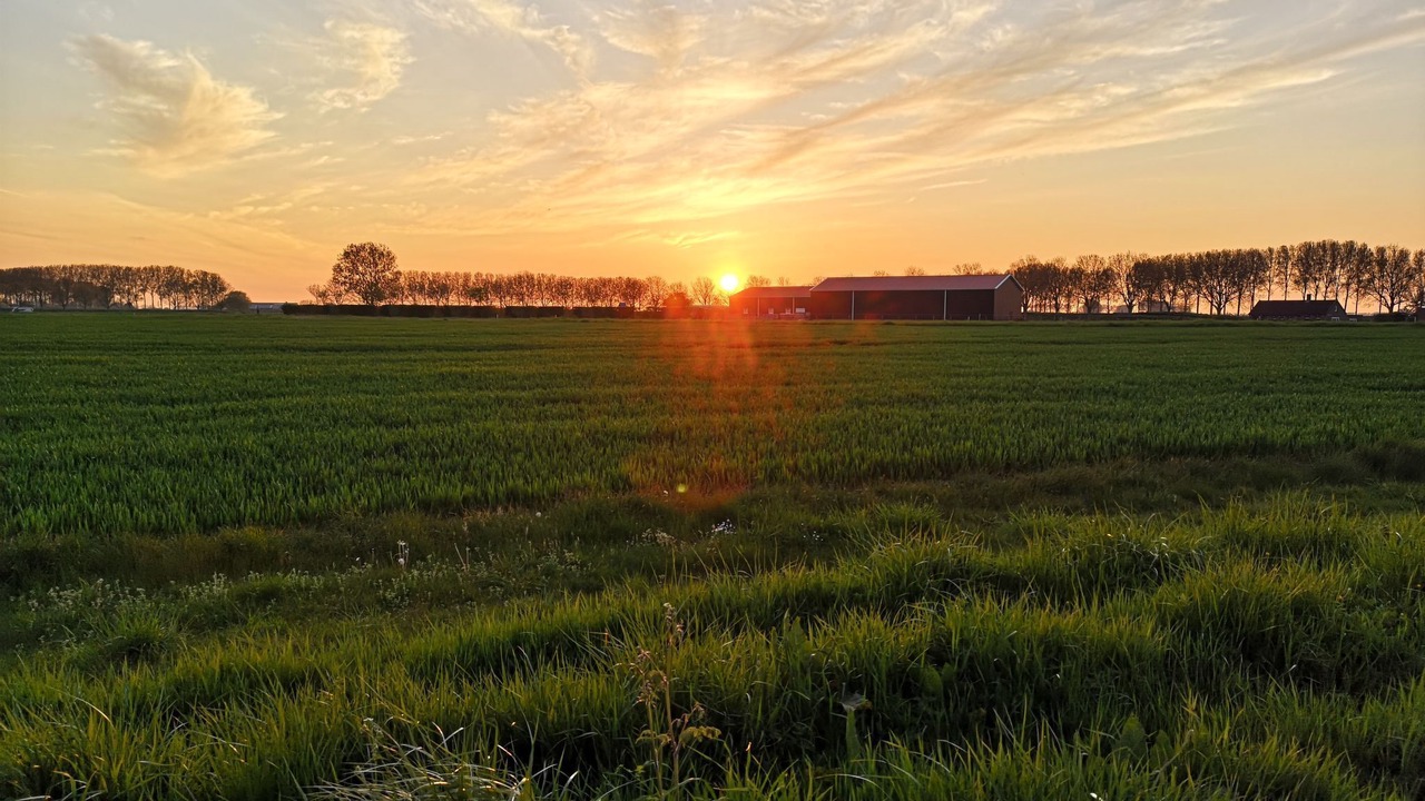 Photo of Others in Schoondijke