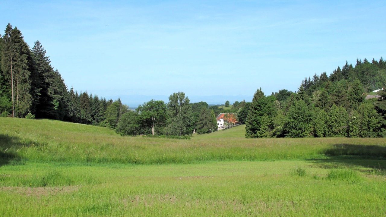 Photo of Others in Freiamt