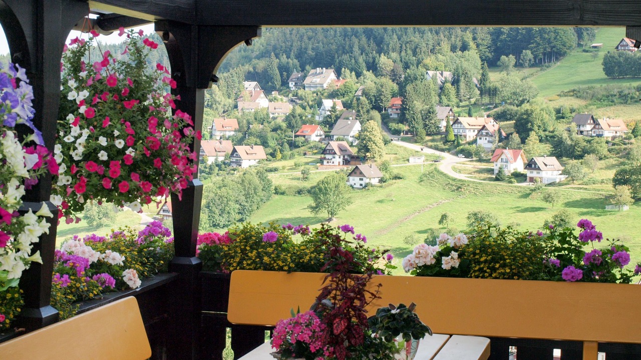 Photo of Others in Sasbachwalden