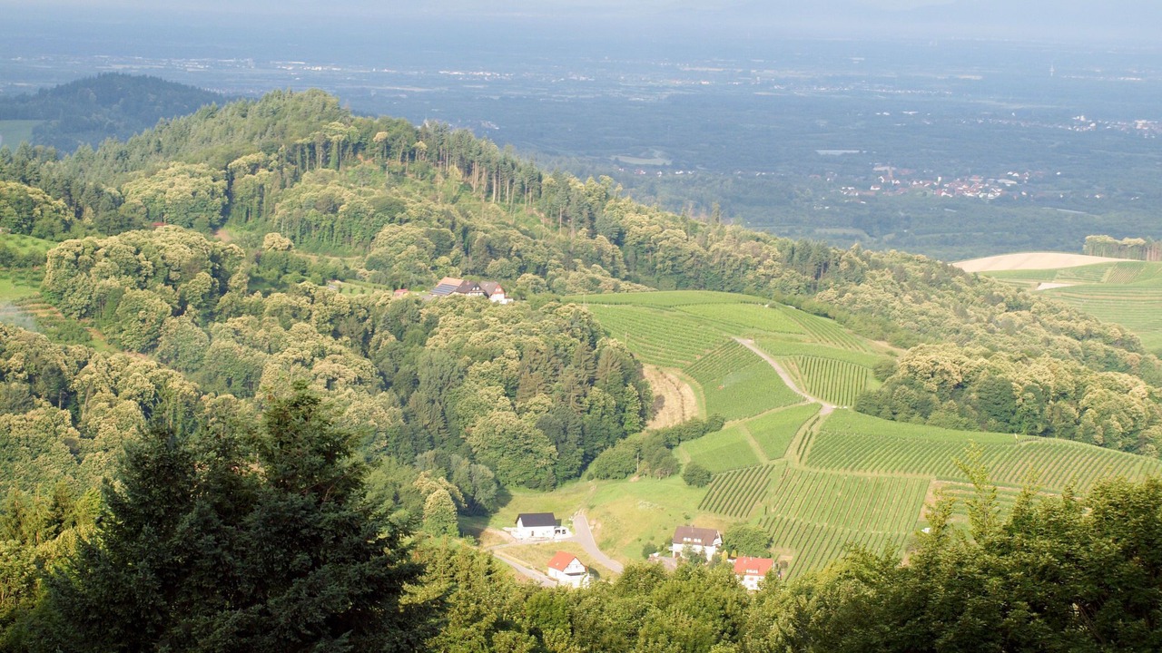 Photo of Others in Sasbachwalden