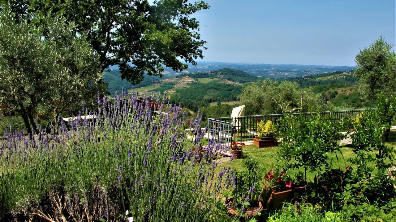 Photo of Others in Greve in Chianti