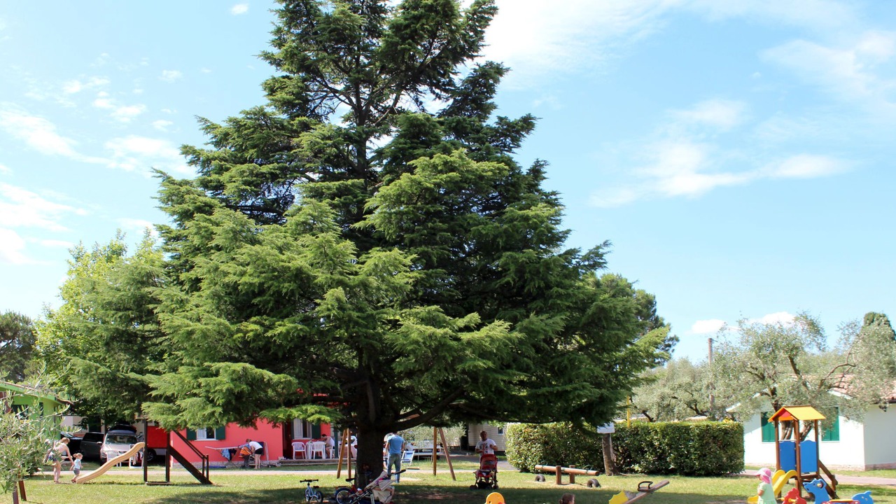Photo of Outdoor in Gralaoni-Pralesi-Cisano