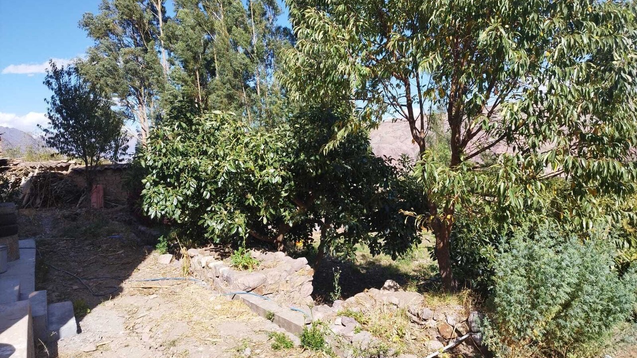 Photo of Outdoor in Yanahuara