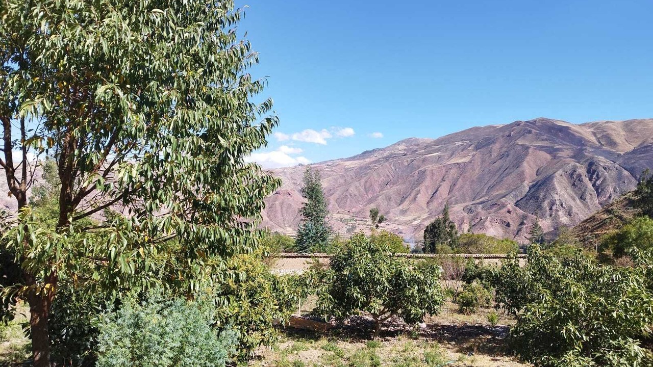 Photo of Outdoor in Yanahuara