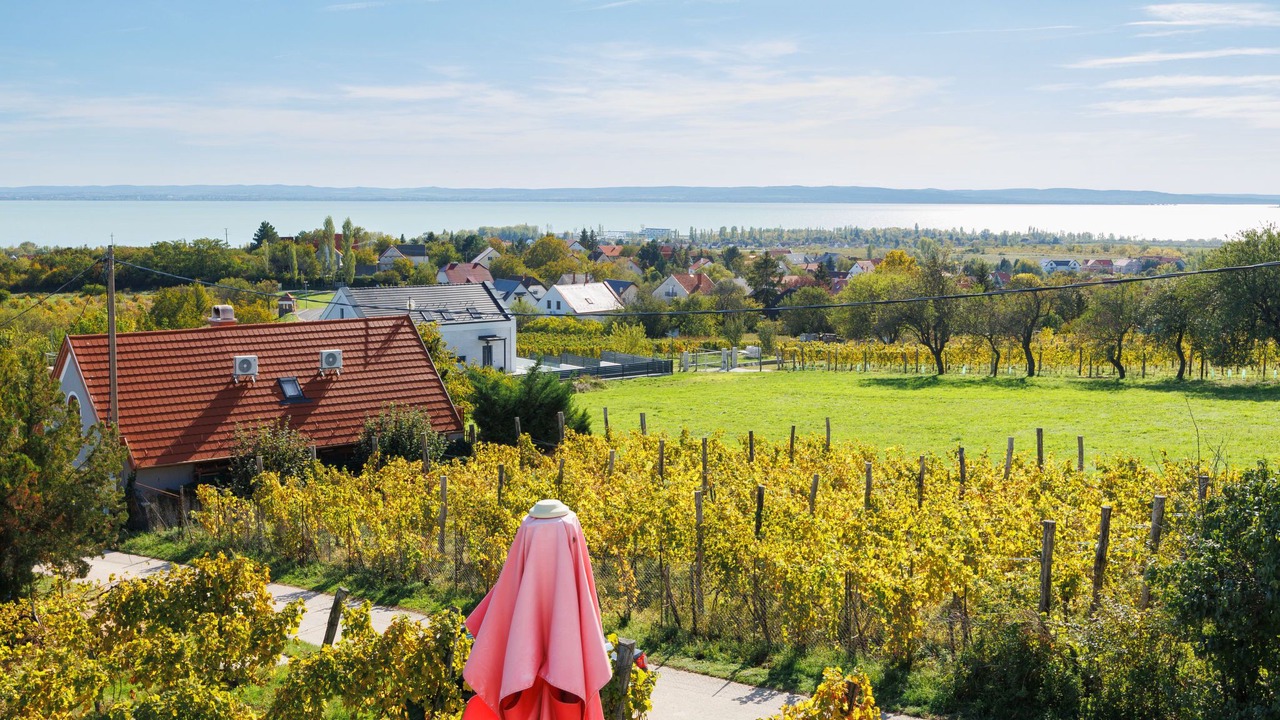 Photo of Others in Alsóörs