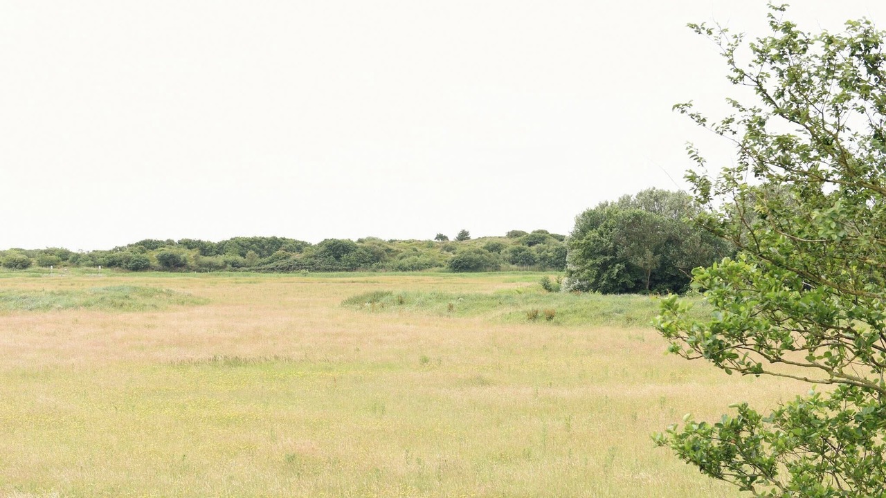 Photo of Others in Callantsoog