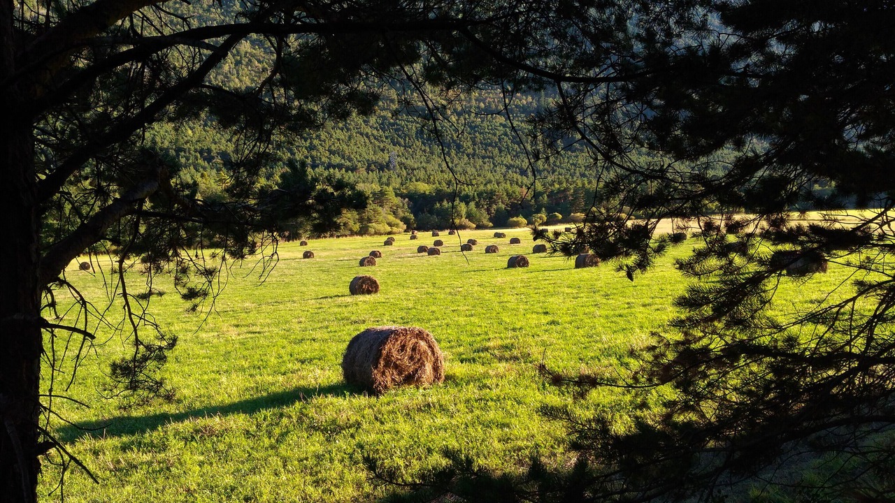 Photo of Others in Valderoure