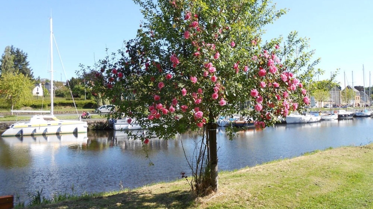Photo of Others in Pontrieux