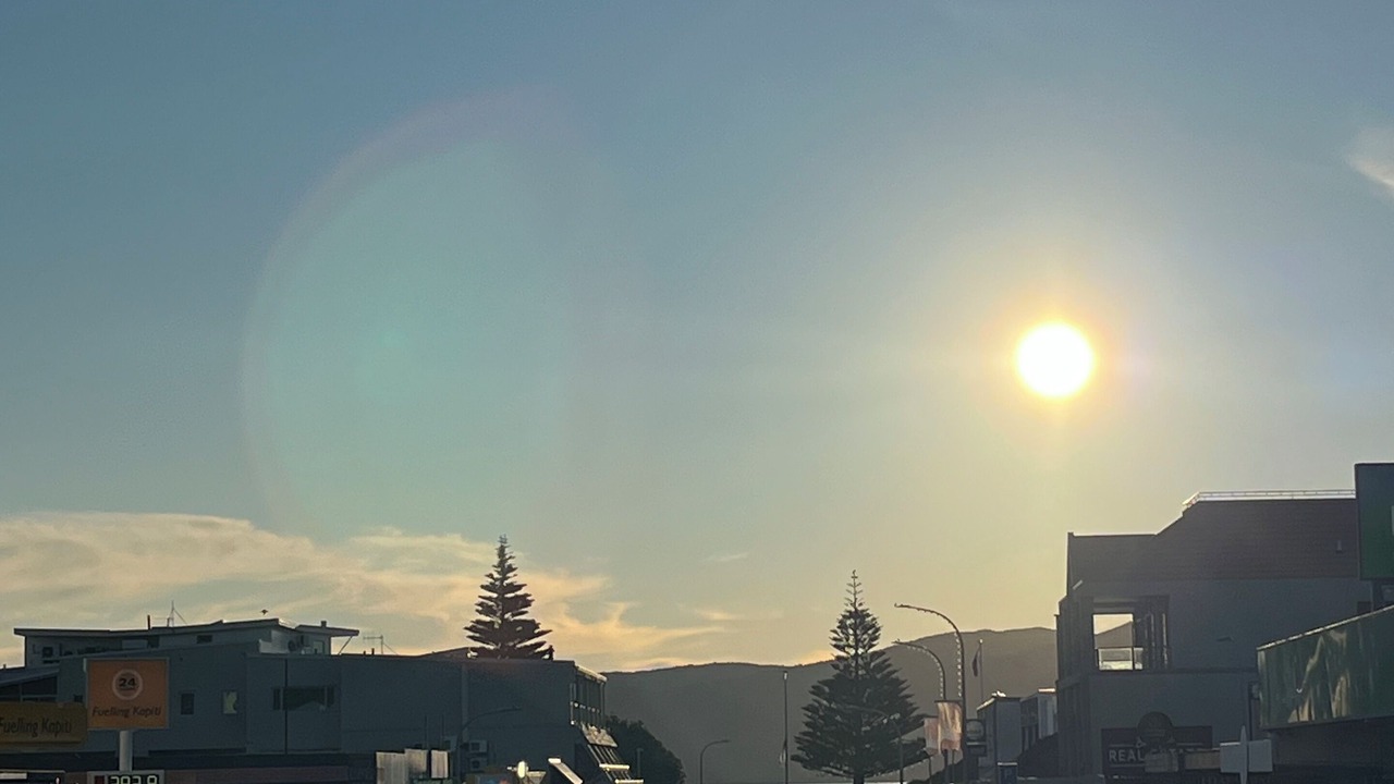 Photo of Others in Paraparaumu