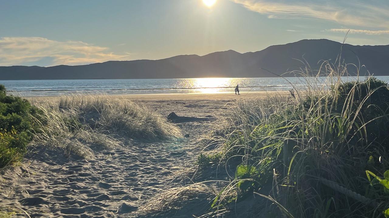 Photo of Others in Paraparaumu
