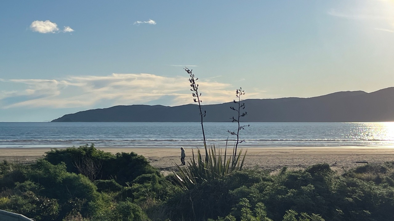 Photo of Others in Paraparaumu