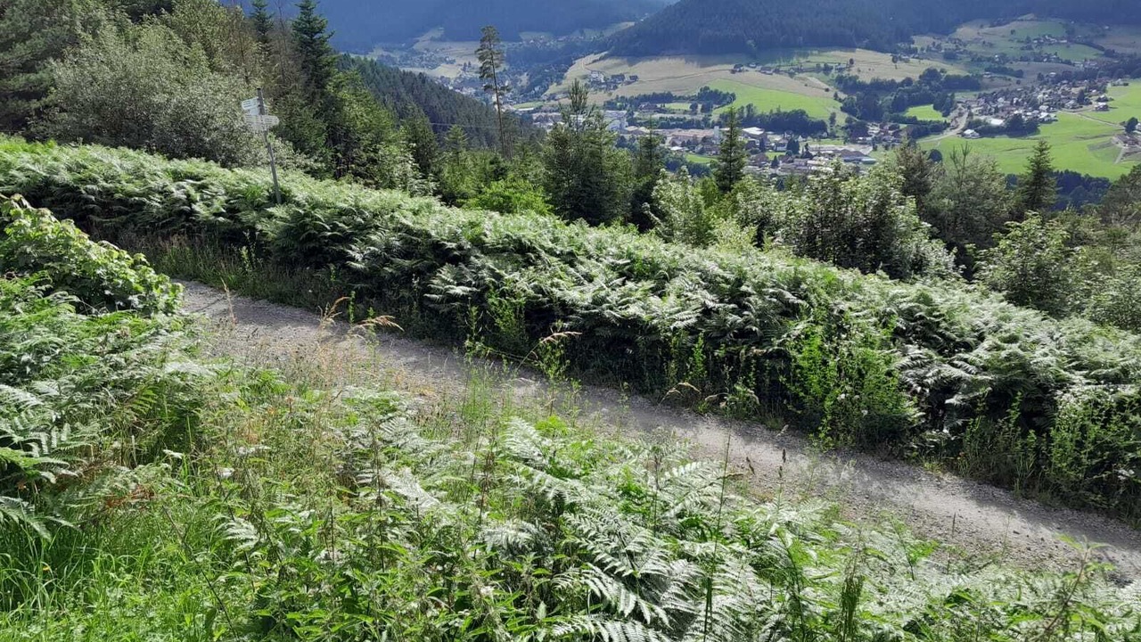 Photo of Others in Baiersbronn