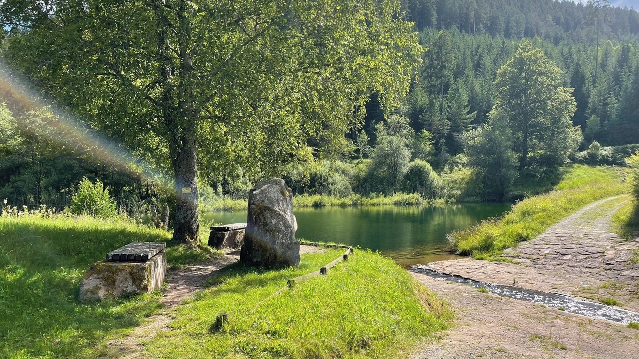 Photo of Others in Baiersbronn