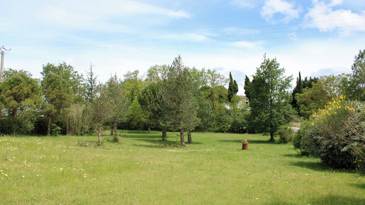 Photo of Others in Treville