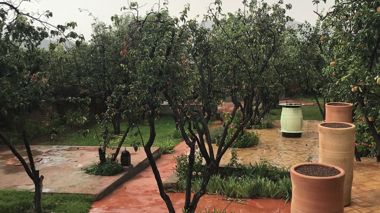 Photo of Outdoor in Ouirgane