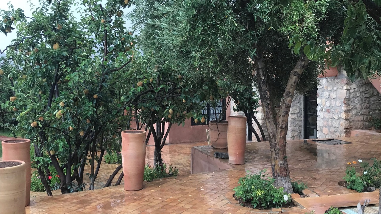 Photo of Outdoor in Ouirgane