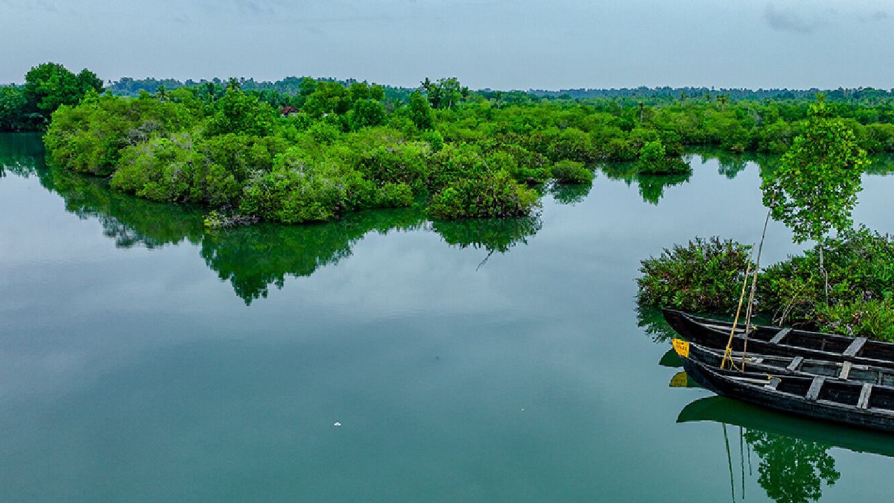 Photo of Outdoor in Alappuzha
