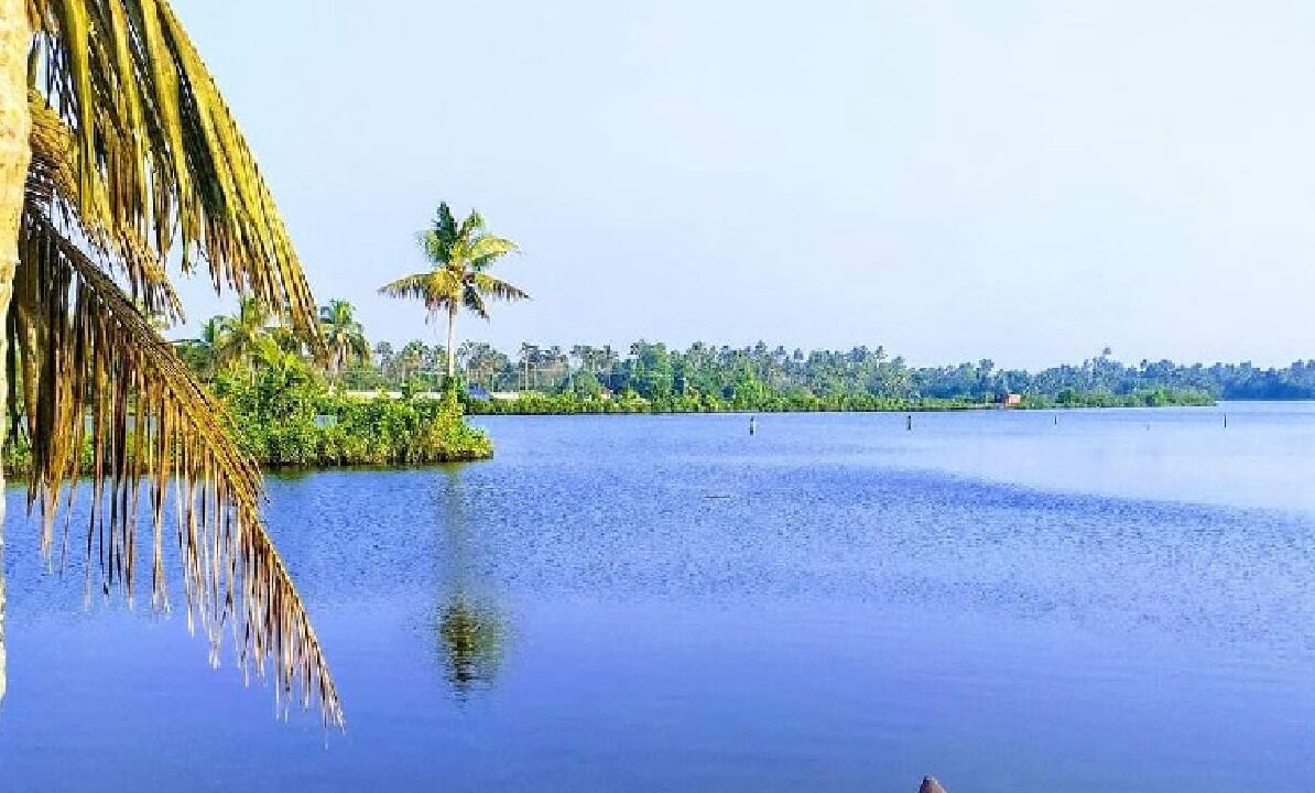 Photo of Others in Alappuzha