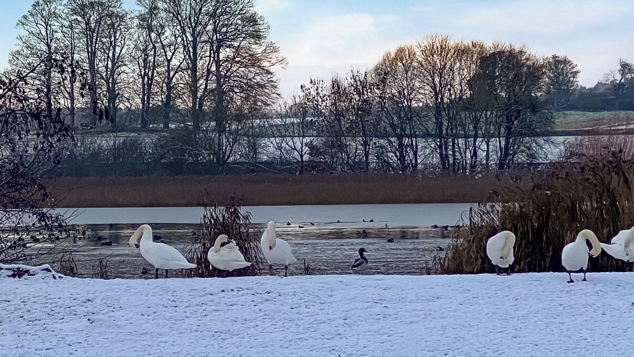 Photo of Others in Coldstream