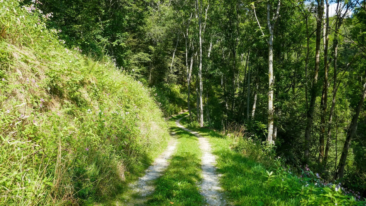 Photo of Others in Acquarossa