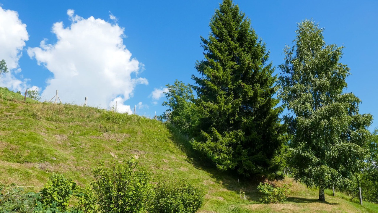 Photo of Outdoor in Acquarossa