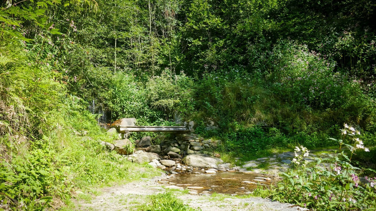 Photo of Others in Acquarossa