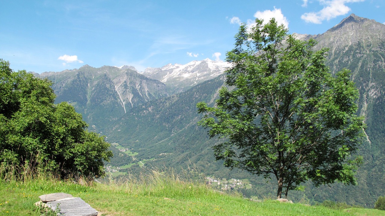 Photo of Others in Acquarossa