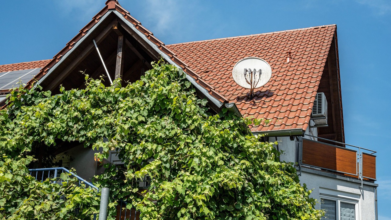 Photo of Outdoor in Kappel-Grafenhausen