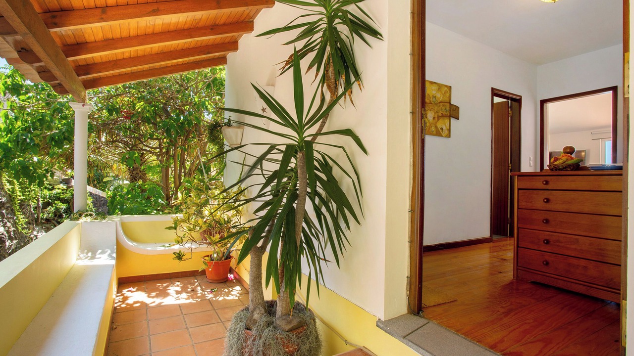 Photo of Outdoor in Jardim do Mar