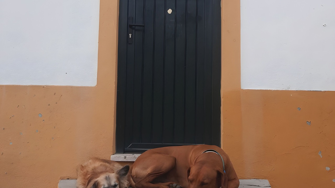 Photo of Outdoor in Cabeco de Vide