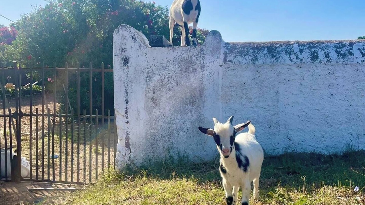Photo of Outdoor in Cabeco de Vide