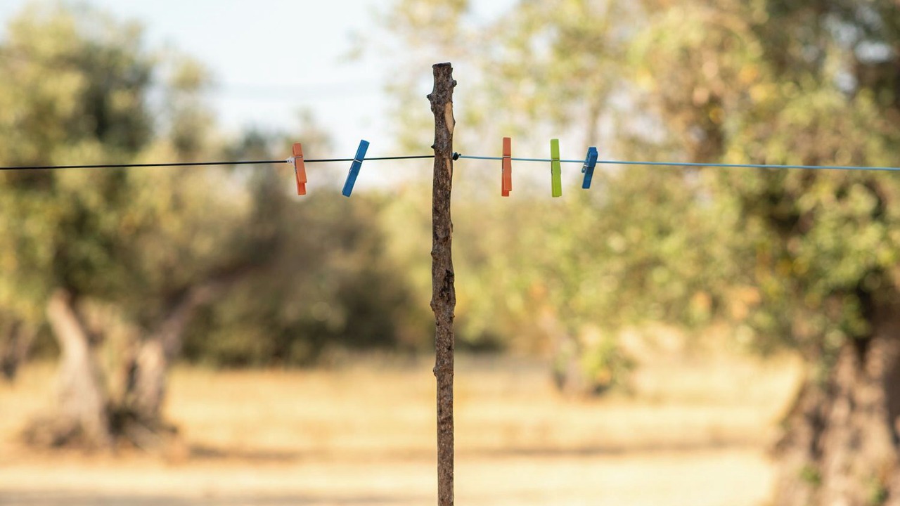 Photo of Others in Cabeco de Vide